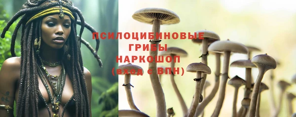 герыч Алзамай