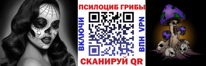дарнет шоп  hydra вход  Псилоцибиновые грибы Magic Shrooms  Шумиха 